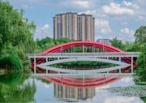西南交通大学27MBA考研择校白皮书：招考计划/学制学费/研究方向/报名条件/上课方式！都是考研干货，拿走不谢！川研教育培训学校