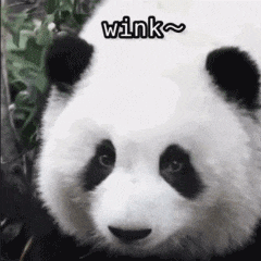 qq6.jpg qq6.jpg